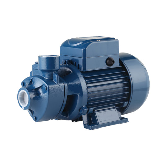 Pheripheral water pump 3/4HP Dual Voltage 110-220V 50Hz