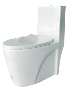 One Pice Deluxe Sanitary Dual Flush (S-TRAP) 67x36.5x76cm