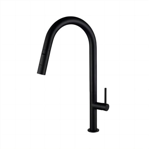 Single lever kitchen mixer Matte Black