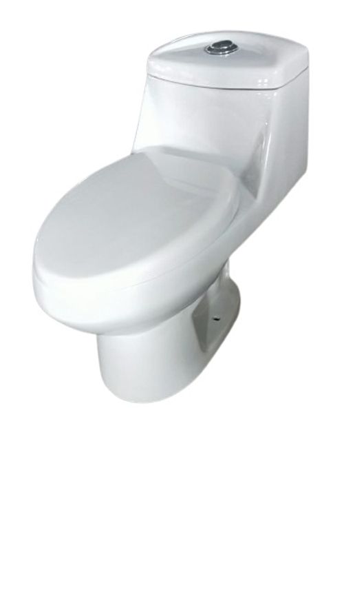 One Pice Sanitary Dual Flush (S-TRAP)