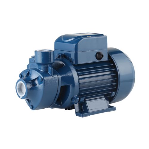 Pheripheral water pump 1HP Dual Voltage 110-220V 50Hz