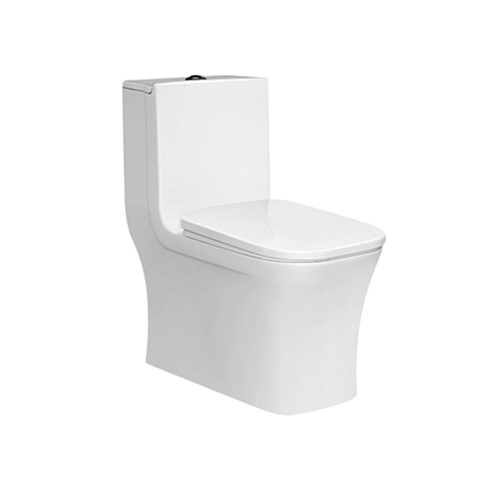 Deluxe one piece sanitary dual flush (S-TRAP) Size:68*36*75cm